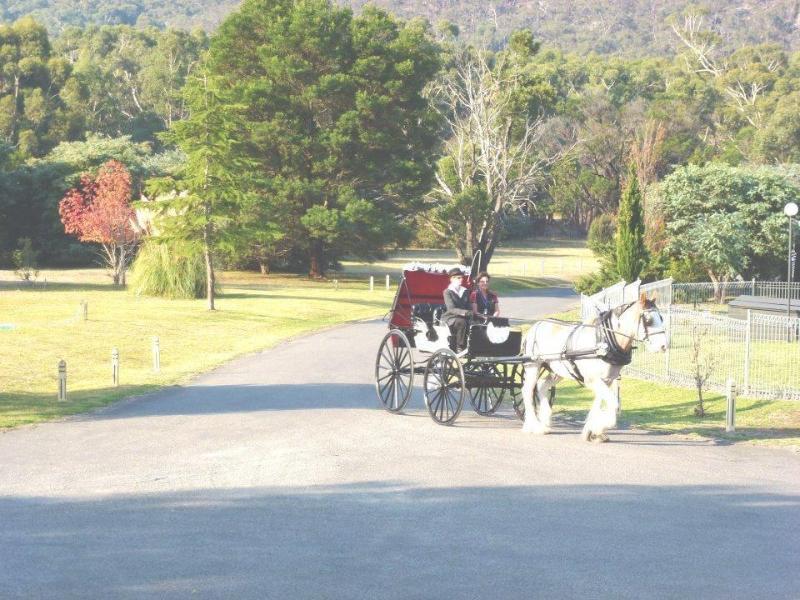 The Grampians Motel Halls Gap Exterior foto